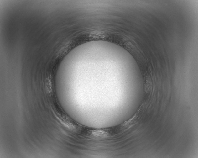 X0000058800183200510171357