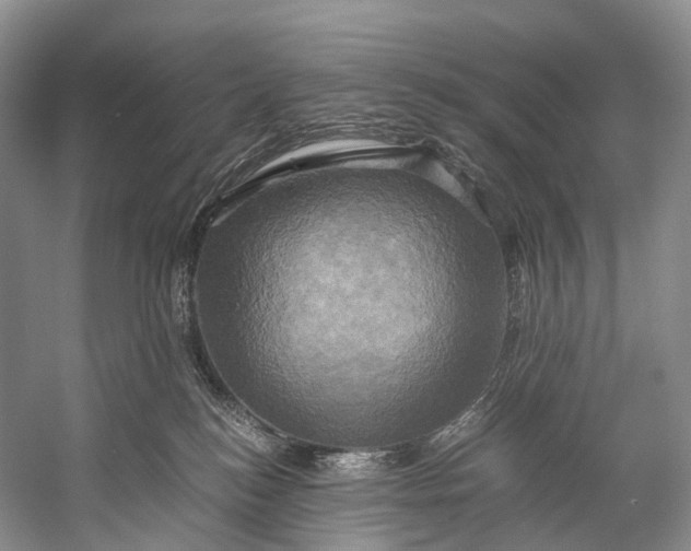 X0000058800184200510171357