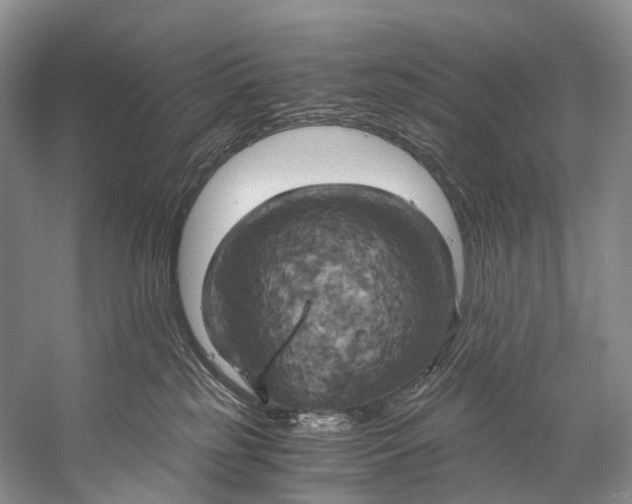 X0000058800185200510171357