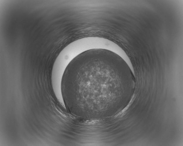 X0000058800186200510171357