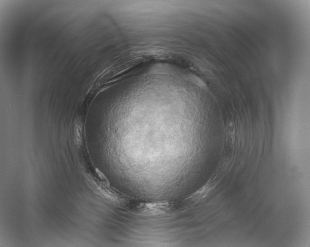 X0000058800188200510171357