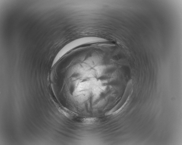 X0000058800192200510171357