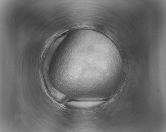 X0000058800193200510171356