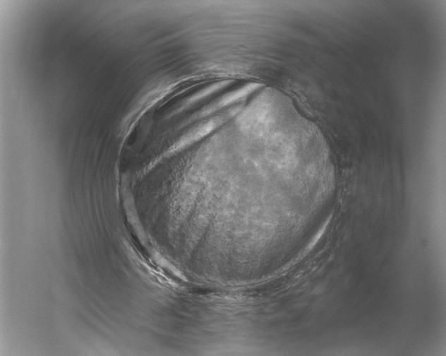 X0000058800194200510171356