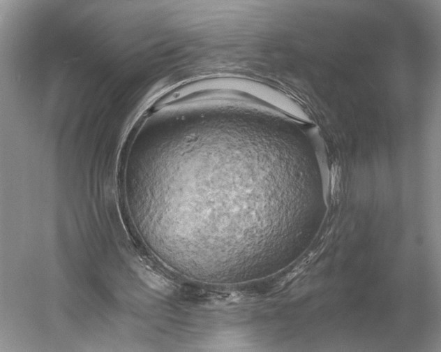 X0000058800195200510171356