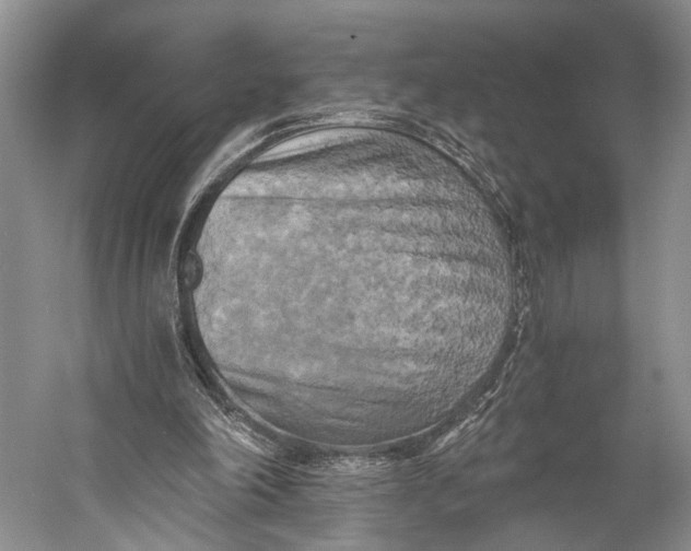 X0000058800198200510171356