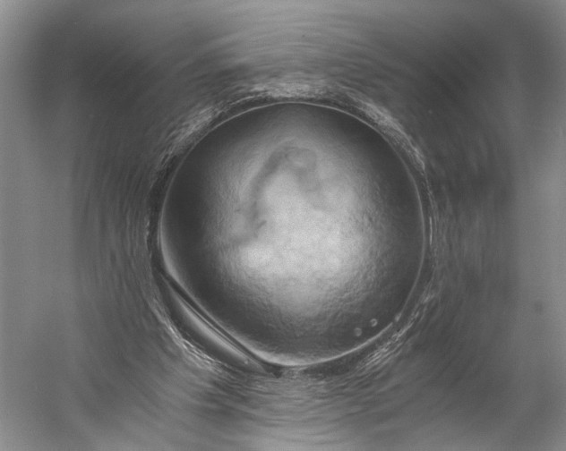 X0000058800201200510171356