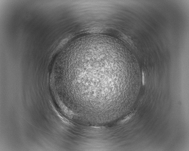 X0000058800205200510171356