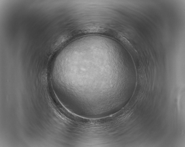X0000058800207200510171356