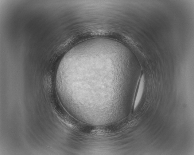 X0000058800211200510171356