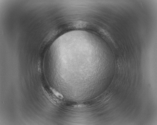 X0000058800212200510171356