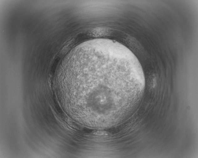 X0000058800214200510171356
