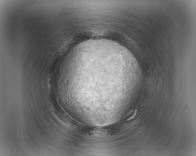 X0000058800215200510171355