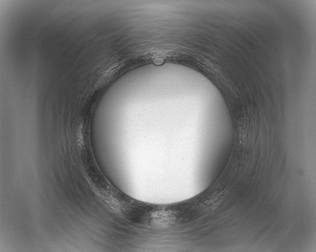 X0000058800216200510171355