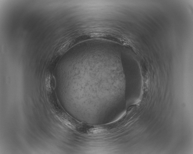 X0000058800219200510171355