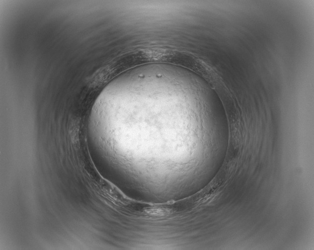 X0000058800221200510171355