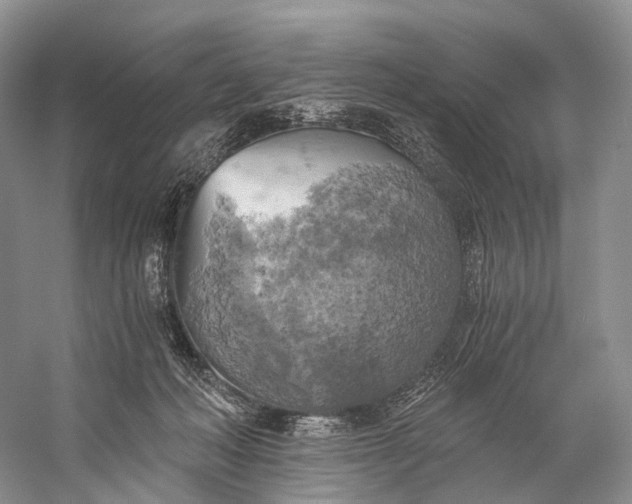 X0000058800222200510171355