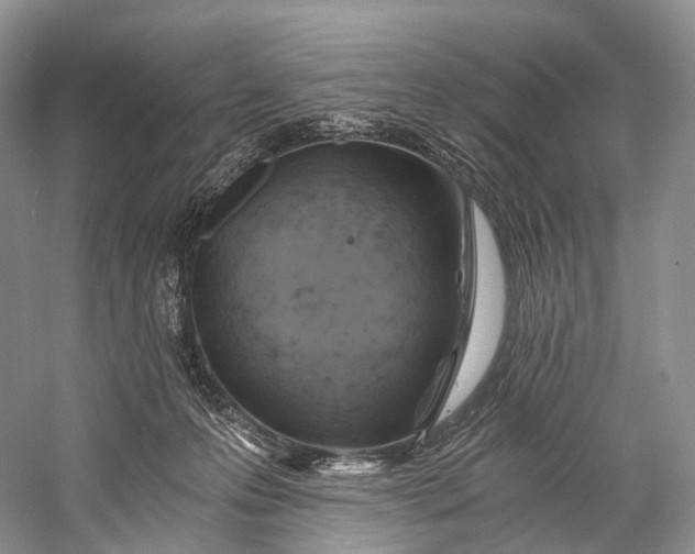 X0000058800223200510171355
