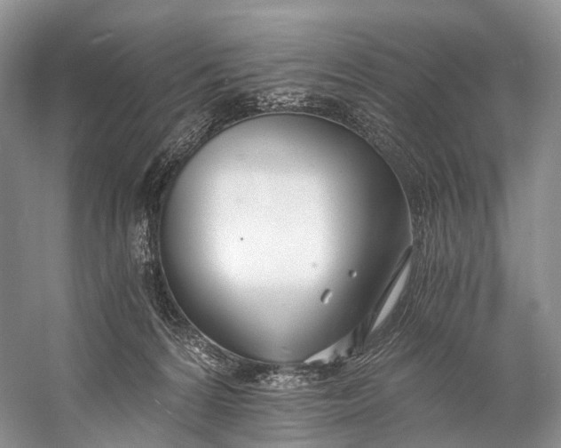 X0000058800224200510171355