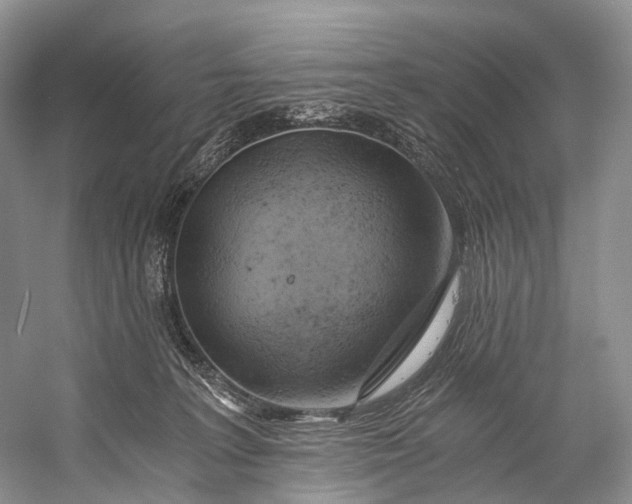 X0000058800227200510171355
