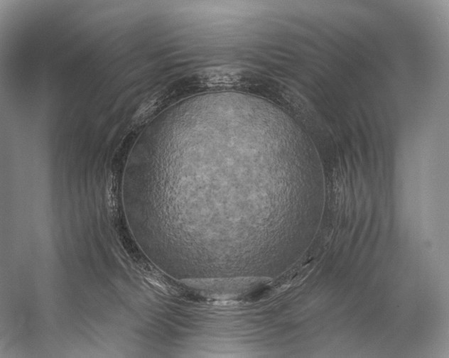 X0000058800228200510171355