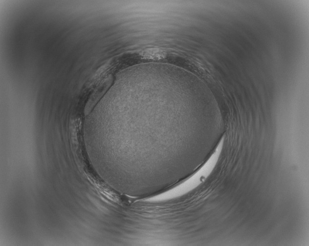 X0000058800229200510171355