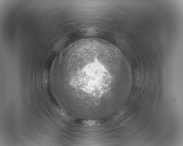 X0000058800230200510171355