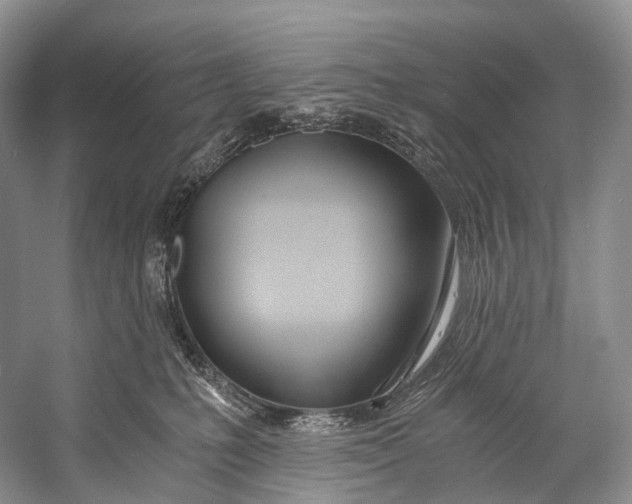 X0000058800231200510171355