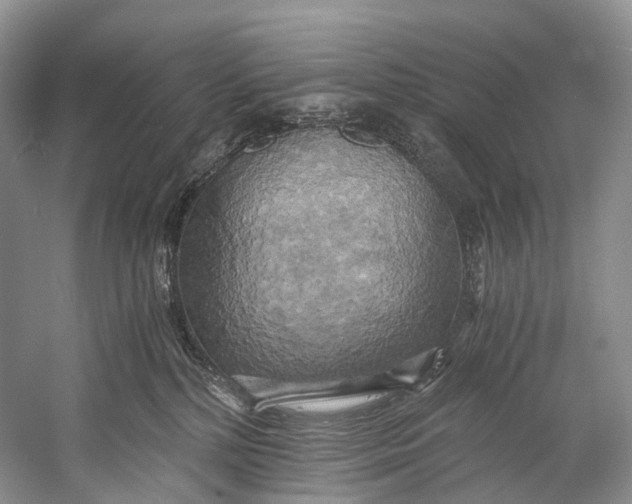 X0000058800232200510171355
