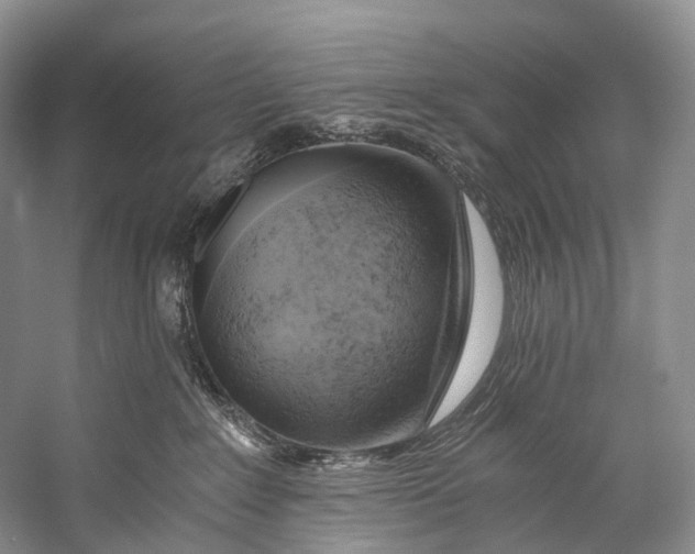 X0000058800235200510171355