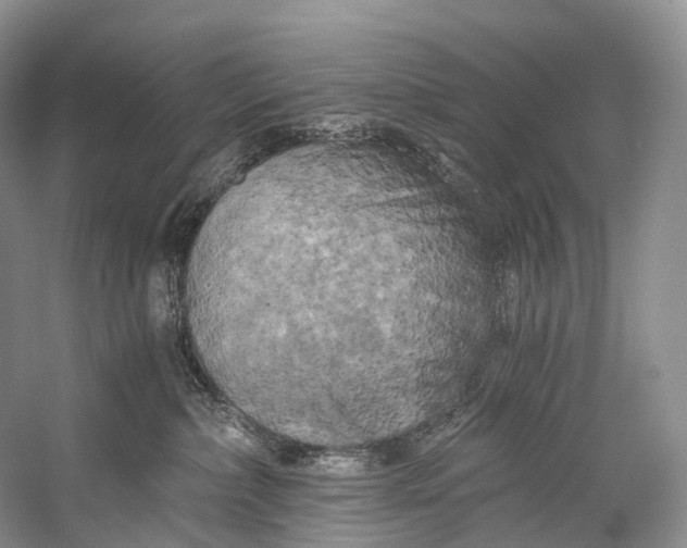 X0000058800236200510171355