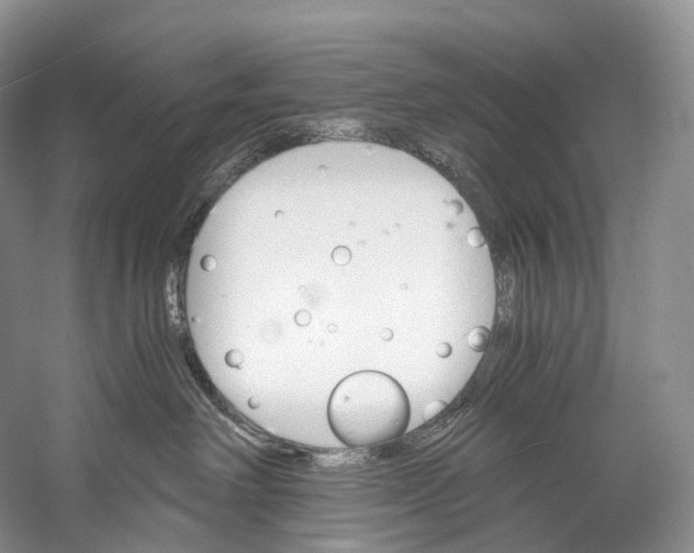X0000058800238200510171355