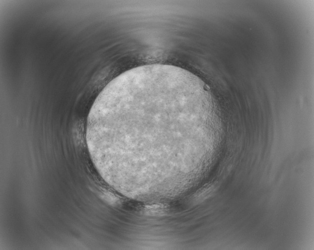 X0000058800240200510171355