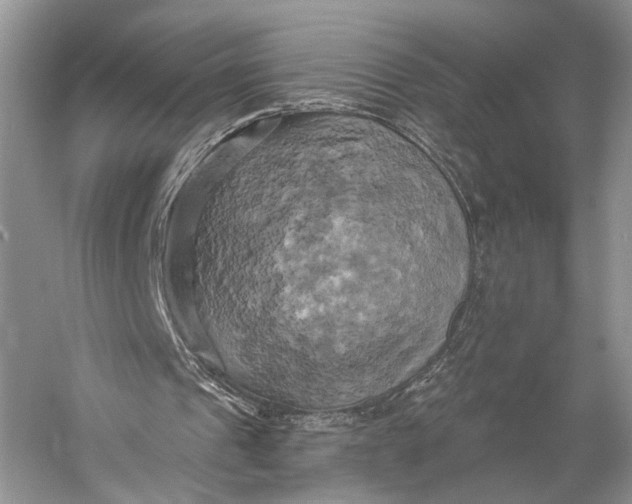 X0000058800241200510171354