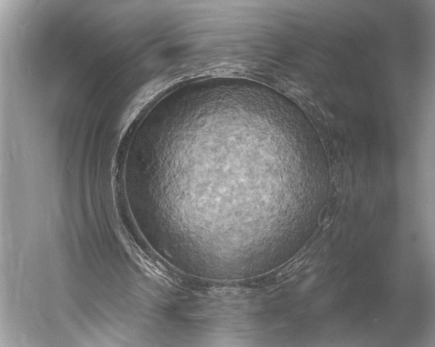 X0000058800242200510171354