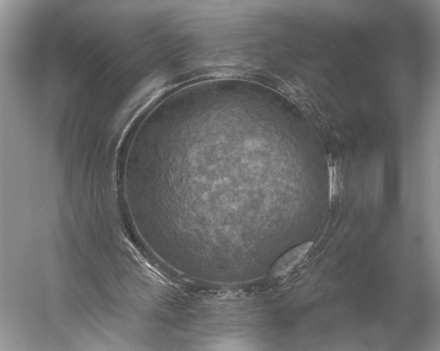 X0000058800243200510171354