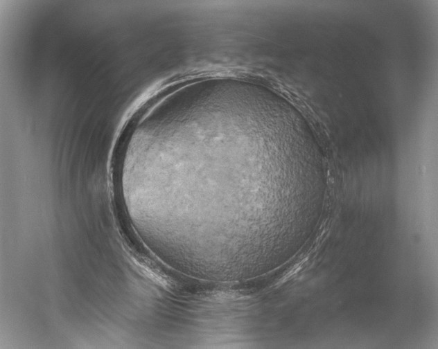 X0000058800246200510171354