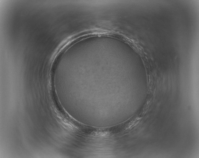X0000058800247200510171354