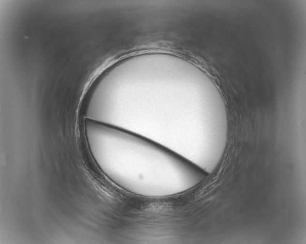 X0000058800248200510171354