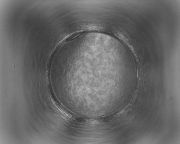 X0000058800249200510171354