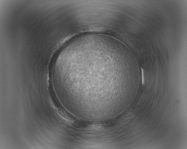 X0000058800252200510171354