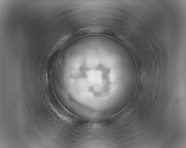 X0000058800254200510171354