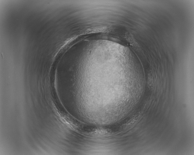 X0000058800256200510171354