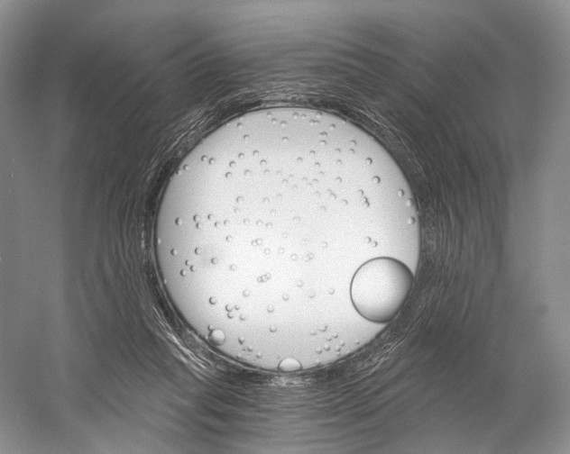 X0000058800261200510171355