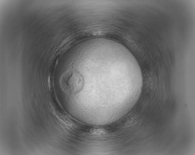 X0000058800262200510171355