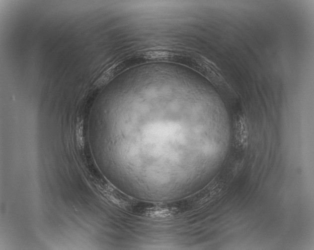 X0000058800267200510171355