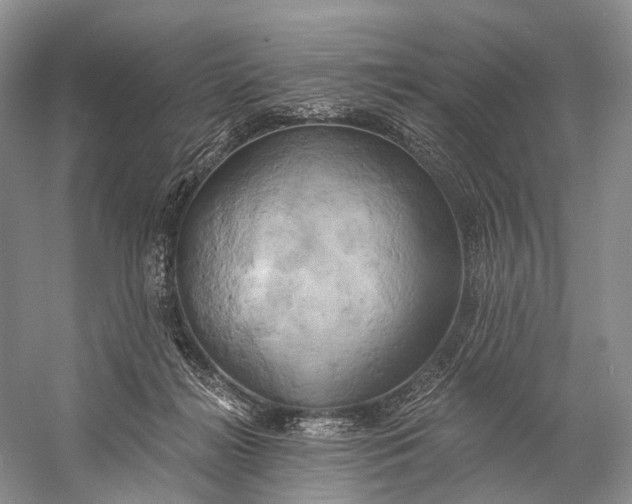 X0000058800268200510171355