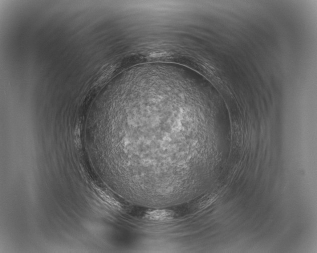 X0000058800269200510171355