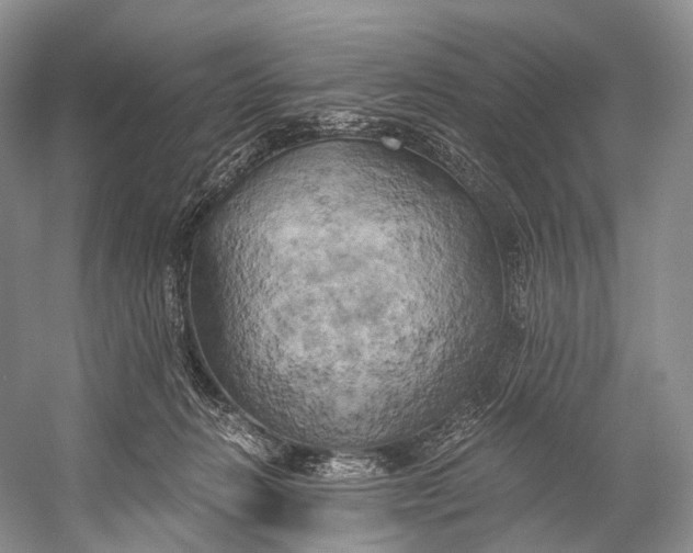 X0000058800270200510171355