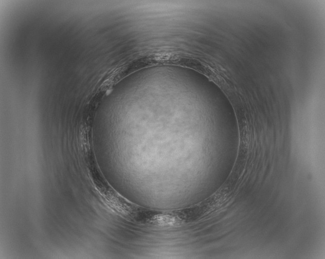 X0000058800272200510171355